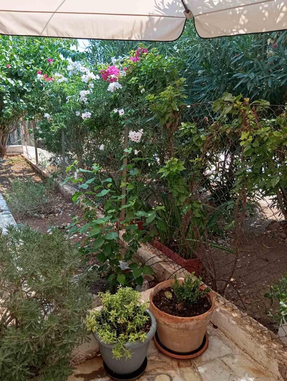 הוילה Ambelakia Εξοχικό Roxani מראה חיצוני תמונה